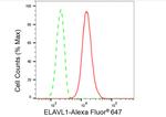 HuR Antibody in Flow Cytometry (Flow)