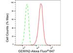 Gemin 2 Antibody in Flow Cytometry (Flow)