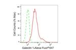 Galectin 1 Antibody in Flow Cytometry (Flow)