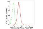 JAM-A (CD321) Antibody in Flow Cytometry (Flow)