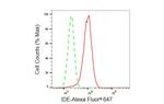 IDE Antibody in Flow Cytometry (Flow)