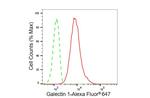 Galectin 1 Antibody in Flow Cytometry (Flow)