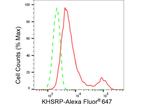 KHSRP Antibody in Flow Cytometry (Flow)