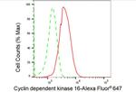 PCTAIRE1 Antibody in Flow Cytometry (Flow)