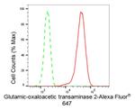 GOT2 Antibody in Flow Cytometry (Flow)