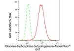 G6PD Antibody in Flow Cytometry (Flow)