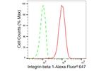 ITGB1 Antibody in Flow Cytometry (Flow)