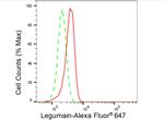 LGMN Antibody in Flow Cytometry (Flow)