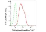 PKC alpha Antibody in Flow Cytometry (Flow)