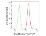 SMAD4 Antibody in Flow Cytometry (Flow)