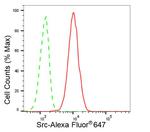 SRC Antibody in Flow Cytometry (Flow)