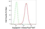 Aquaporin 1 Antibody in Flow Cytometry (Flow)