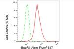 BUBR1 Antibody in Flow Cytometry (Flow)