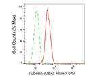 TSC2 Antibody in Flow Cytometry (Flow)