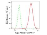 Arp3 Antibody in Flow Cytometry (Flow)