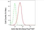 BAF53A Antibody in Flow Cytometry (Flow)