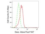 DAXX Antibody in Flow Cytometry (Flow)