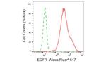 EGFR Antibody in Flow Cytometry (Flow)