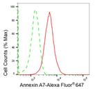 Annexin A7 Antibody in Flow Cytometry (Flow)