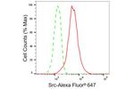 SRC Antibody in Flow Cytometry (Flow)