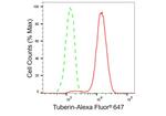 TSC2 Antibody in Flow Cytometry (Flow)