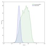 MMP13 Antibody in Flow Cytometry (Flow)