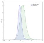 MMP13 Antibody in Flow Cytometry (Flow)