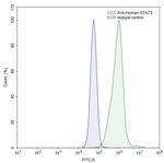 STAT3 Humanized Antibody in Flow Cytometry (Flow)