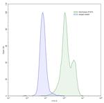 STAT3 Humanized Antibody in Flow Cytometry (Flow)