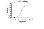 TRAIL-R2 (DR5) Humanized Antibody in ELISA (ELISA)