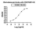 Obrindatamab Humanized Antibody in ELISA (ELISA)