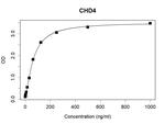 CHD4 Antibody in ELISA (ELISA)