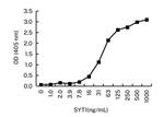 Synaptotagmin 1 Antibody in ELISA (ELISA)