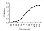 Activin A Antibody in ELISA (ELISA)