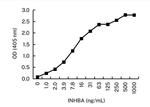 Activin A Antibody in ELISA (ELISA)