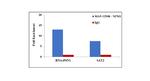 NPM1 Antibody in ChIP Assay (ChIP)