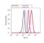 alpha-1 Antitrypsin Antibody in Flow Cytometry (Flow)