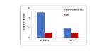 GATA1 Antibody in ChIP Assay (ChIP)