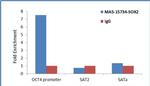 SOX2 Antibody in ChIP Assay (ChIP)