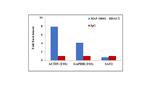 HDAC2 Antibody in ChIP Assay (ChIP)