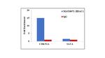 HDAC1 Antibody in ChIP Assay (ChIP)