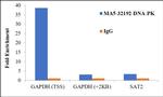 DNA-PK Antibody in ChIP Assay (ChIP)