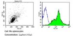 ICAM-1 Antibody in Flow Cytometry (Flow)