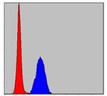 ERK1 Antibody in Flow Cytometry (Flow)