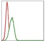 MBP Antibody in Flow Cytometry (Flow)