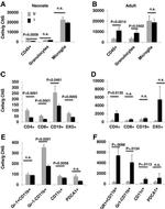 CD8 alpha Antibody in Flow Cytometry (Flow)