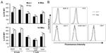 CD4 Antibody in Flow Cytometry (Flow)