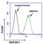 MEK1 Antibody in Flow Cytometry (Flow)