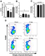 F4/80 Antibody in Flow Cytometry (Flow)