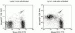 CD16/CD32 Antibody in Flow Cytometry (Flow)